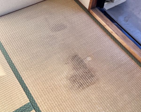 畳は水拭きできる？正しい掃除方法や長持ちさせるポイントを解説