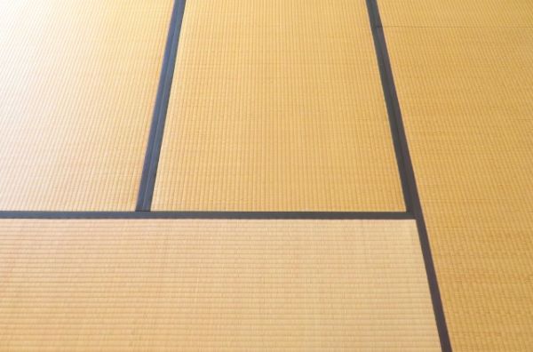畳は水拭きできる？正しい掃除方法や長持ちさせるポイントを解説