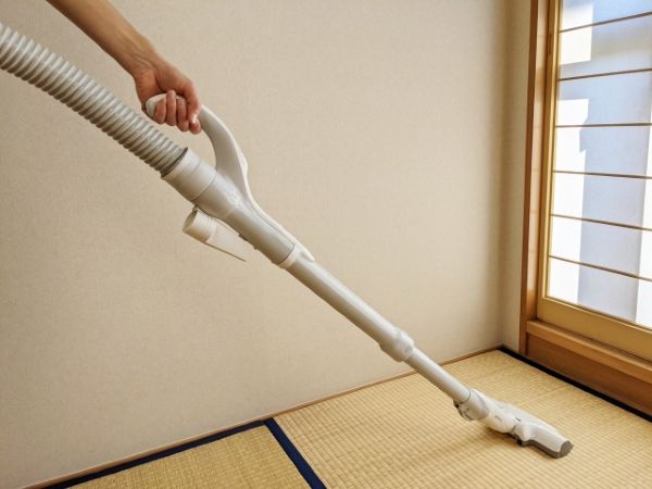 畳にダニが発生する原因とは?効果的な駆除方法や予防法を解説