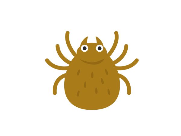 畳にダニが発生する原因とは?効果的な駆除方法や予防法を解説
