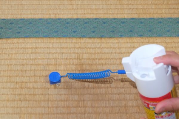 畳にダニが発生する原因とは?効果的な駆除方法や予防法を解説