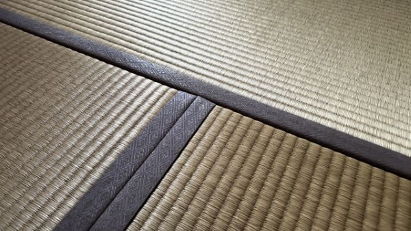 畳が劣化する原因とは？劣化を防いで長持ちさせるコツはある？