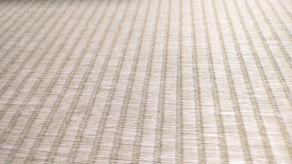 畳にダニが発生する原因とは?効果的な駆除方法や予防法を解説